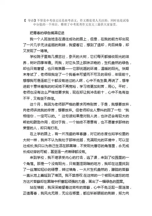 中考优秀作文范文：把青春的绿色铺满征途