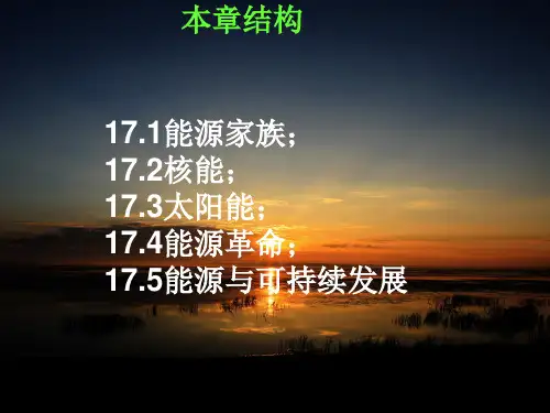 十七章能源与可持续发展ppt课件