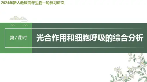 2024年新人教版高考生物一轮复习讲义  第3单元 第7课时 光合作用和细胞呼吸的综合分析