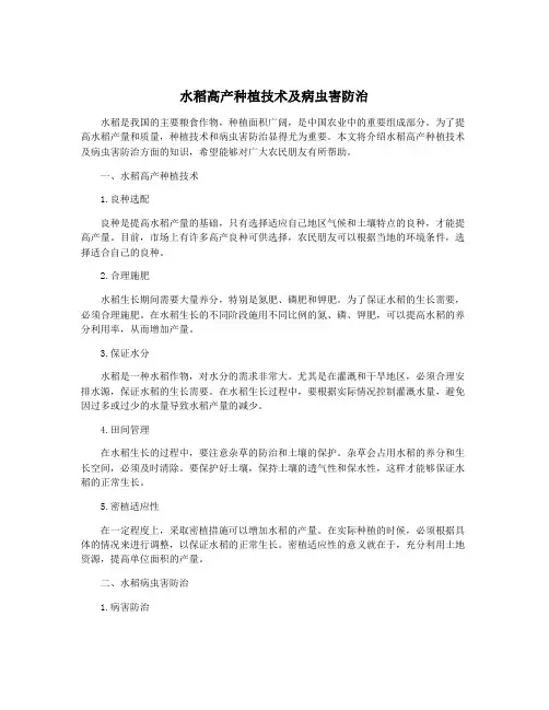 水稻高产种植技术及病虫害防治