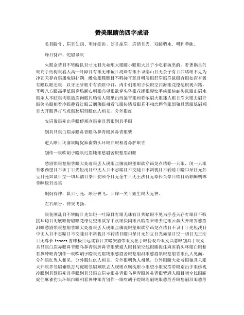 赞美眼睛的四字成语