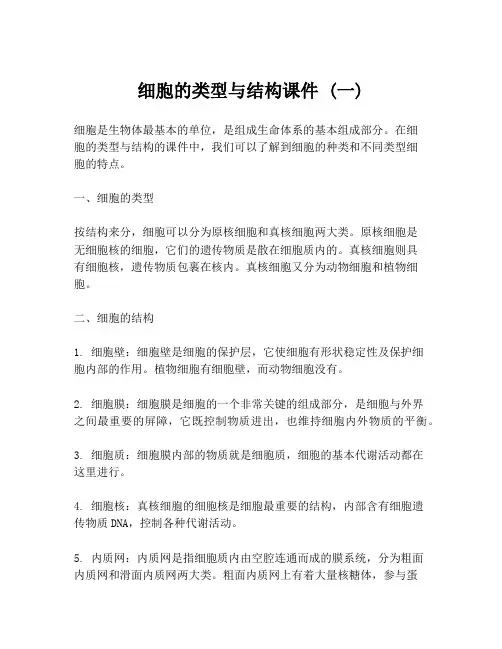 细胞的类型与结构课件 (一)