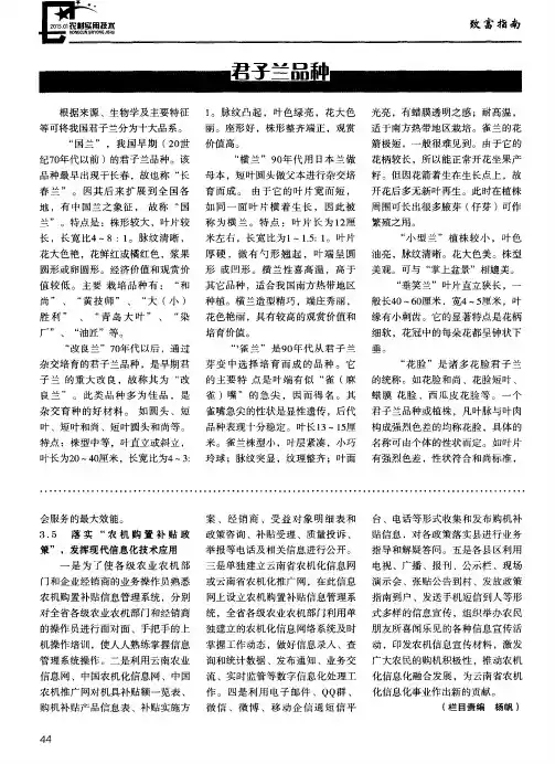 君子兰品种
