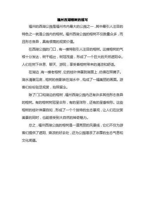 福州西湖榕树的描写
