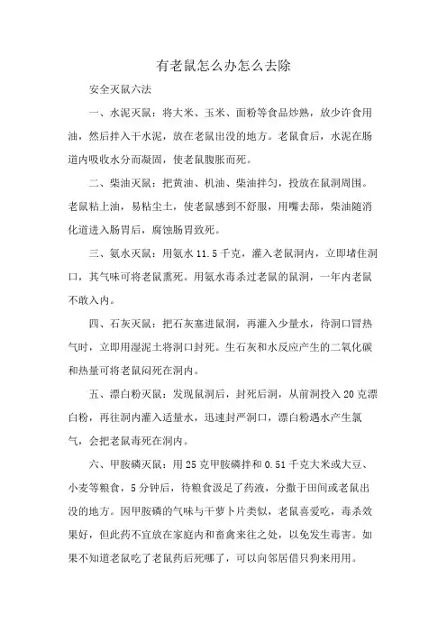 有老鼠怎么办怎么去除