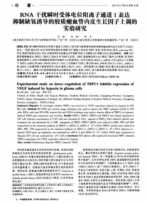 RNA干扰瞬时受体电位阳离子通道1表达抑制缺氧诱导的胶质瘤血管内皮生长因子上调的实验研究