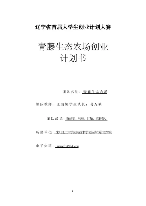 青藤生态农场创业计划书.pptx