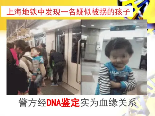 人教版DNA分子的结构ppt完美课件