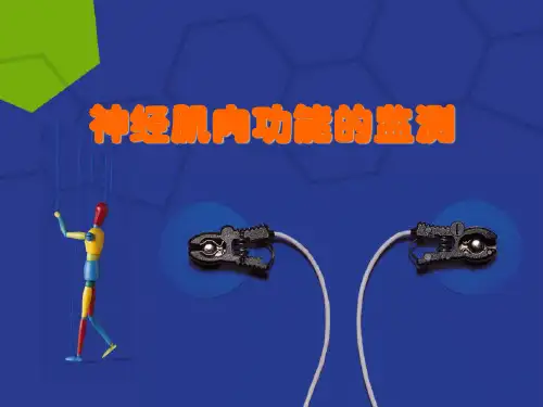 神经肌肉功能监测课件
