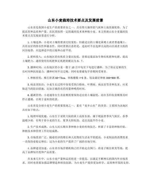 山东小麦栽培技术要点及发展前景