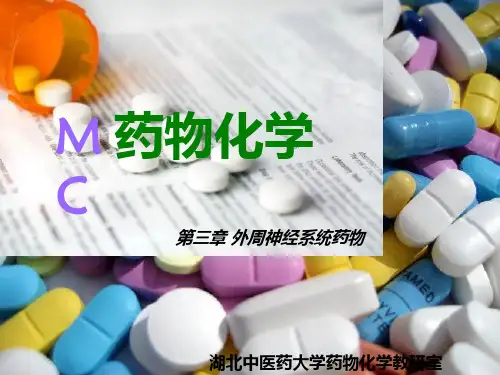 药物化学人卫版