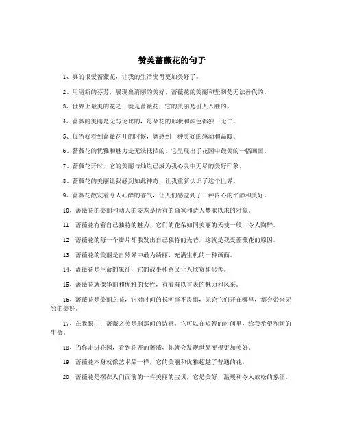 赞美蔷薇花的句子
