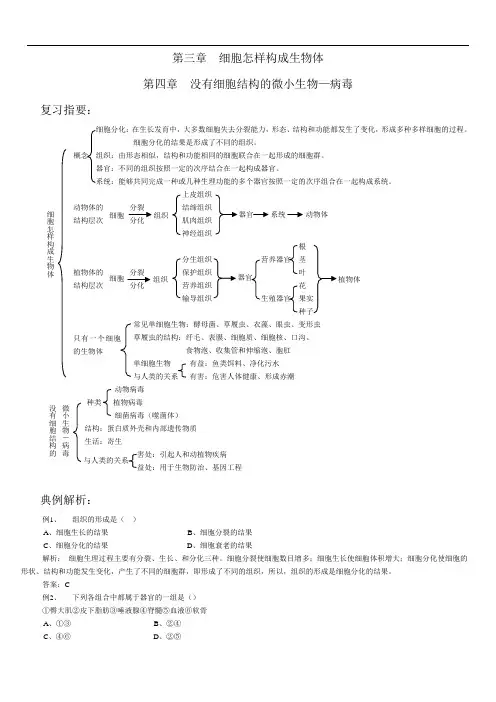七年级生物病毒练习题