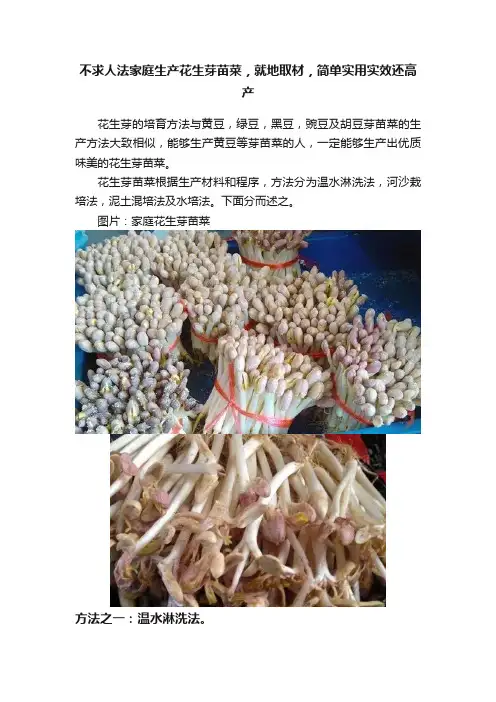 不求人法家庭生产花生芽苗菜，就地取材，简单实用实效还高产