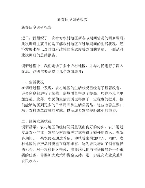 新春回乡调研报告
