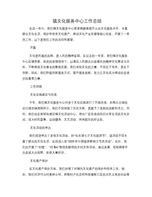 镇文化服务中心工作总结