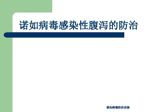 最新诺如病毒防治讲座