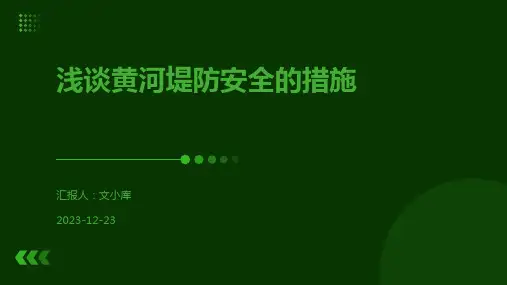 浅谈黄河堤防安全的措施