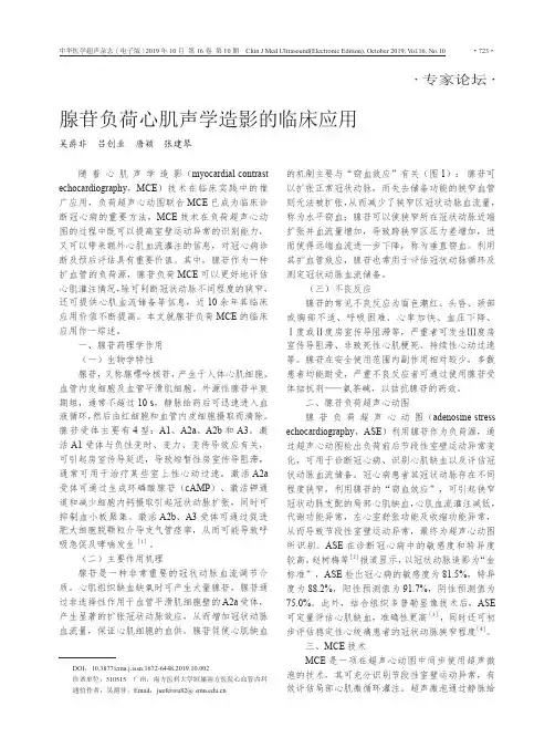 腺苷负荷心肌声学造影的临床应用
