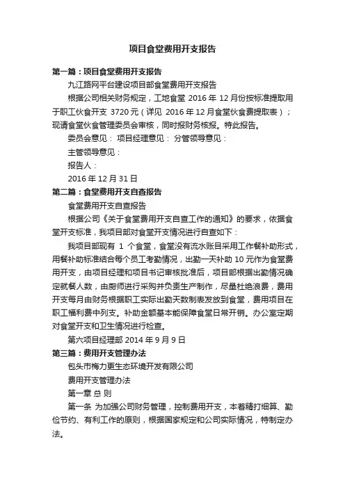 项目食堂费用开支报告