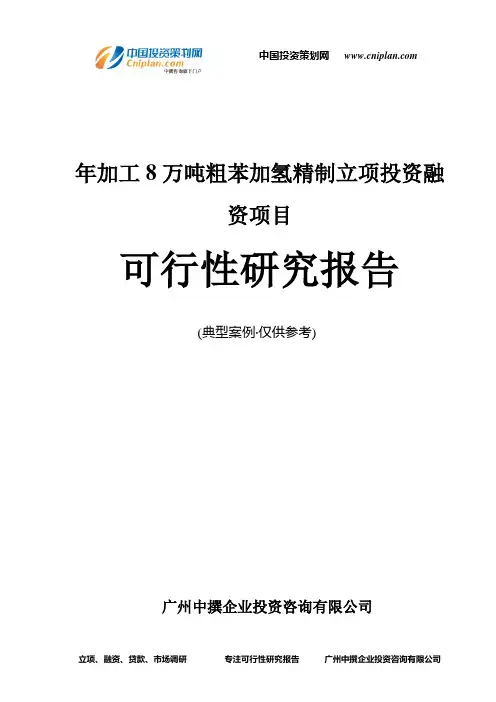 年加工8万吨粗苯加氢精制融资投资立项项目可行性研究报告(中撰咨询)