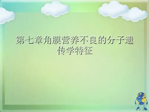 第七章角膜营养不良的分子遗传学特征