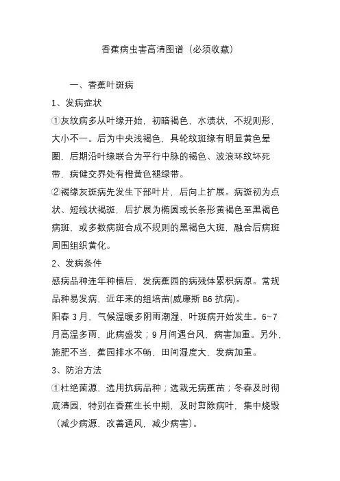 香蕉病虫害高清图谱(必须收藏)