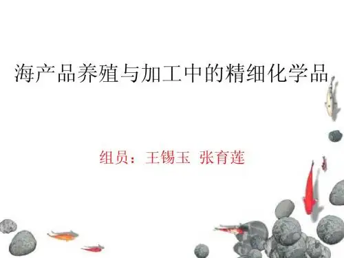论文答辩