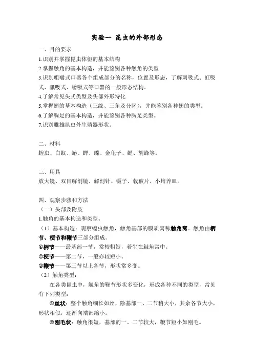 实验一、二 昆虫的外部形态 昆虫的生物学