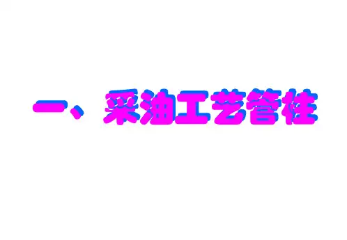 常见井下管柱图集讲解