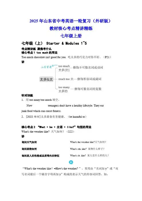 2025年山东省中考英语一轮复习外研版七年级上册 教材核心考点精讲精练(23页,含答案)