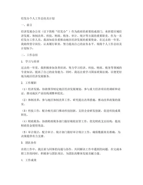 经发办个人工作总结及计划