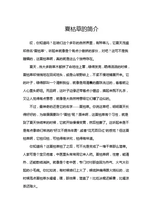 夏枯草的简介