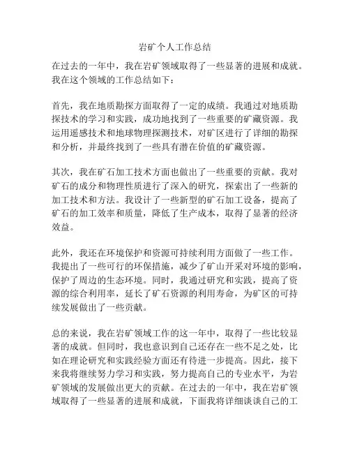岩矿个人工作总结