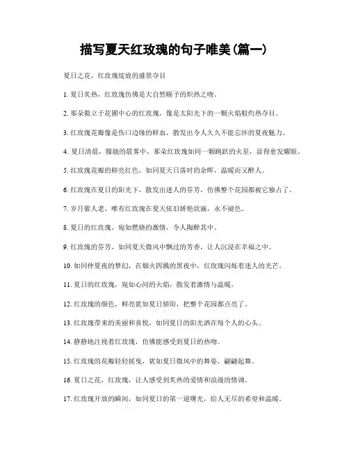 描写夏天红玫瑰的句子唯美(精选合集2篇)