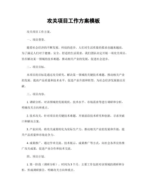攻关项目工作方案模板
