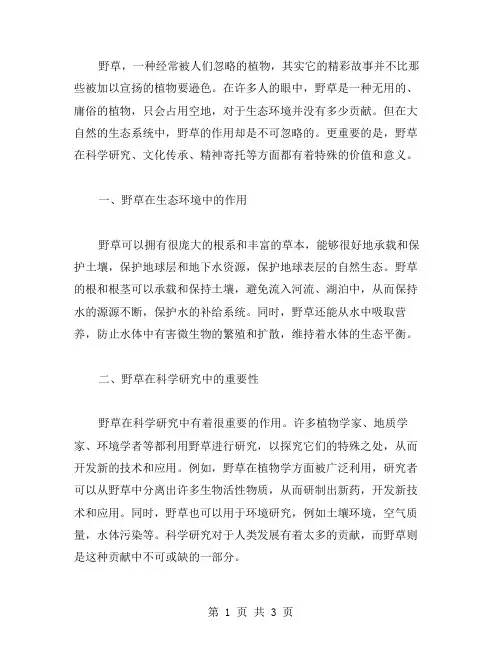 野草高中作文范文