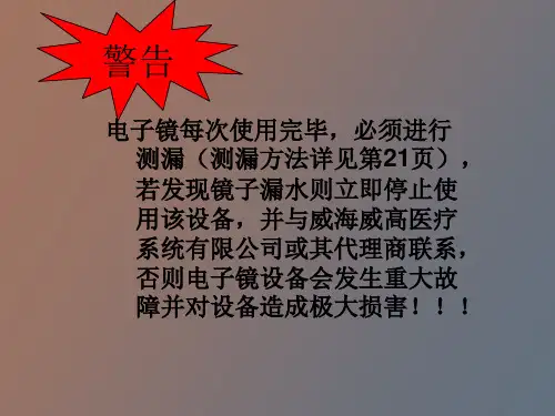 电子鼻咽喉镜