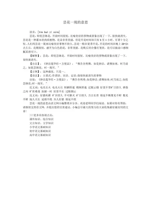 昙花一现的意思