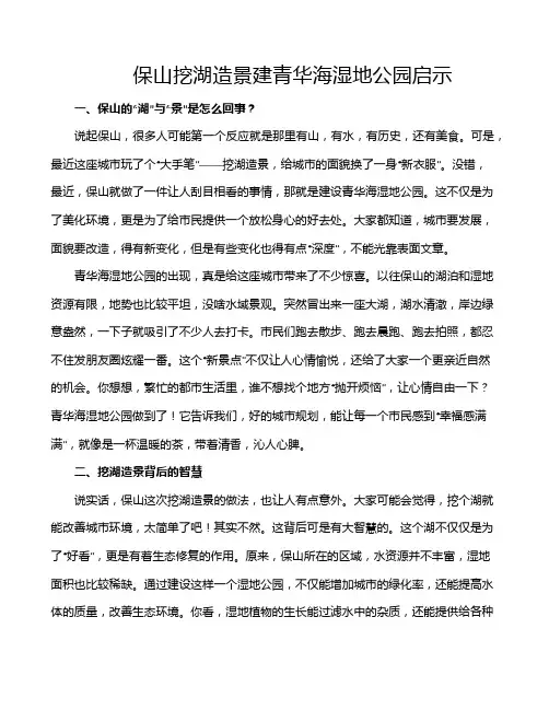 保山挖湖造景建青华海湿地公园启示
