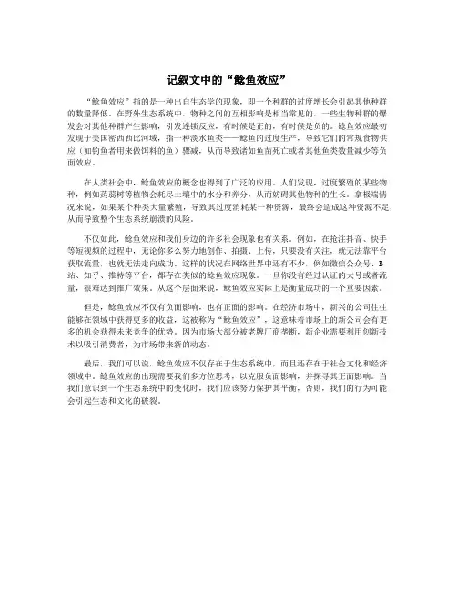 记叙文中的“鲶鱼效应”