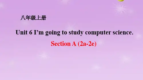 Unit 6 I’m going to study computer science-Section