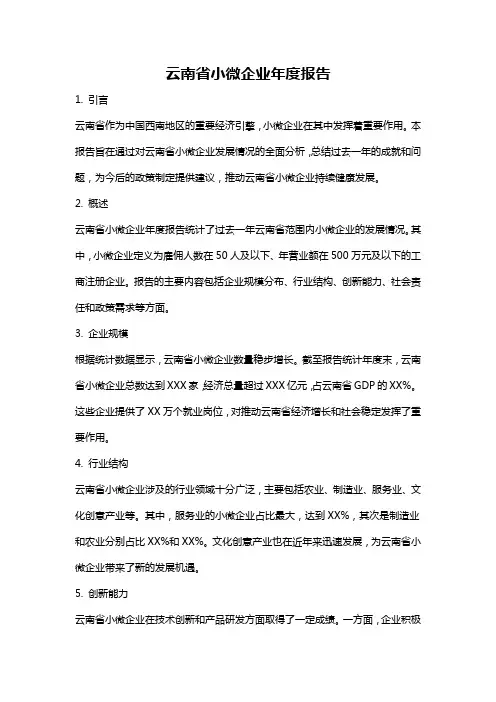 云南省小微企业年度报告