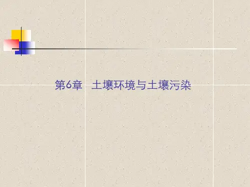 第6、7章 土壤环境与土壤污染