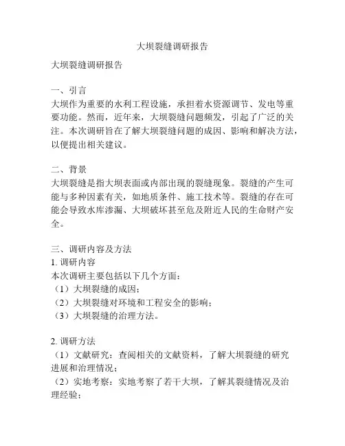 大坝裂缝调研报告