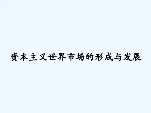 资本主义世界市场的形成与发展-PPT