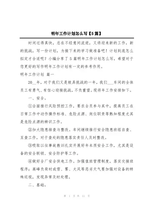 明年工作计划怎么写【5篇】