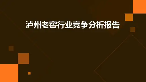 泸州老窖行业竞争分析报告