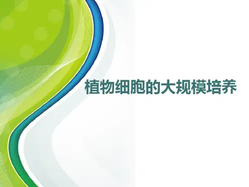 植物细胞的大规模培养