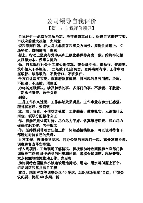 公司领导自我评价